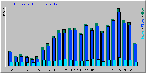 Hourly usage for June 2017